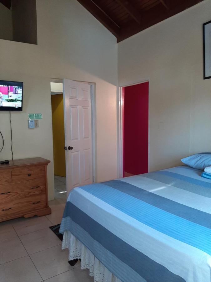 Dancehall Hostel Kingston Exterior photo